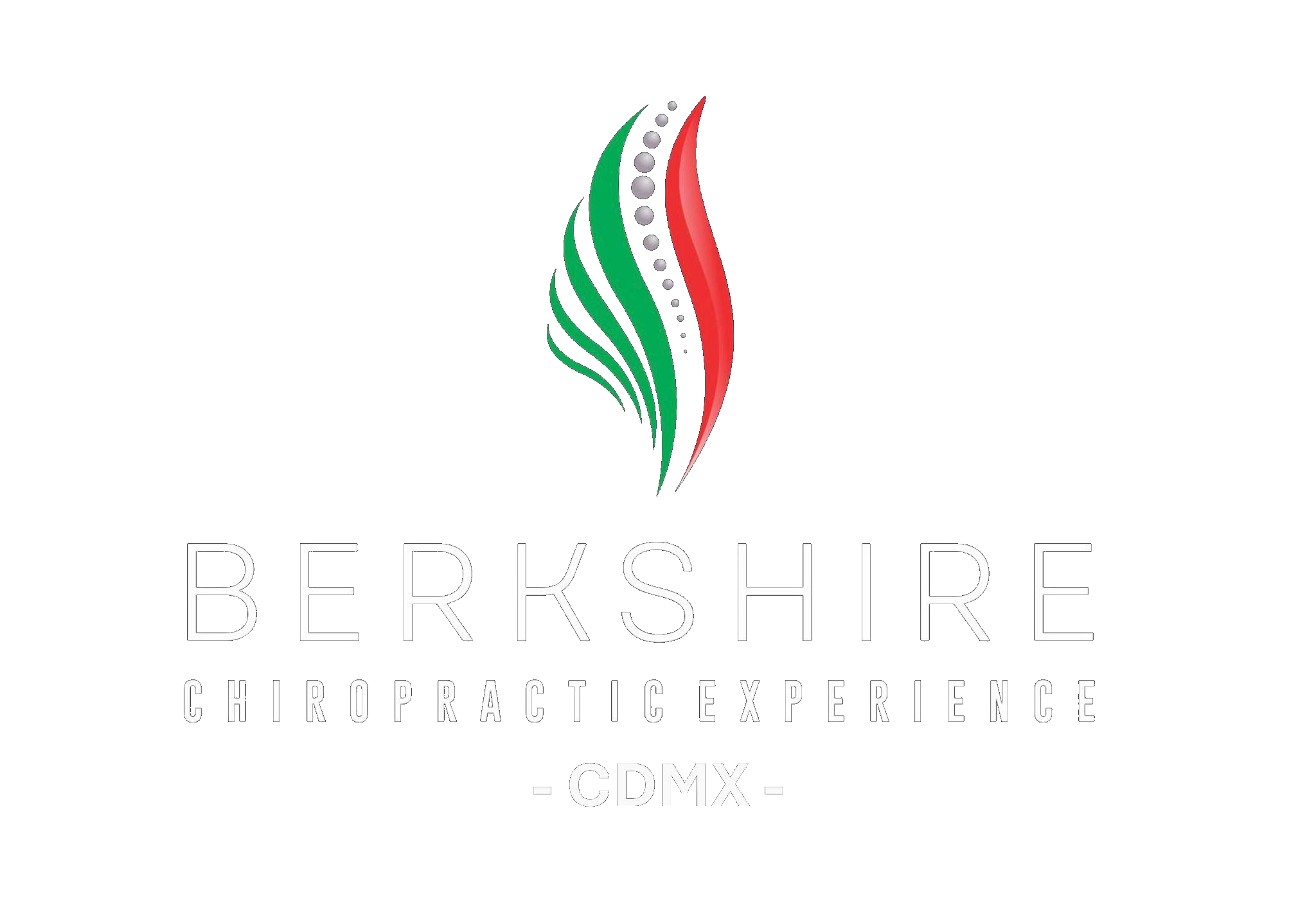 Berkshire Chiropractic Experience CDMX logo